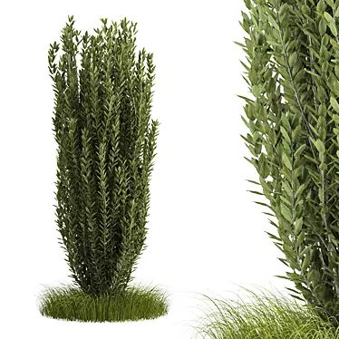 Sleek Bush No.4 Design 3D model image 1 