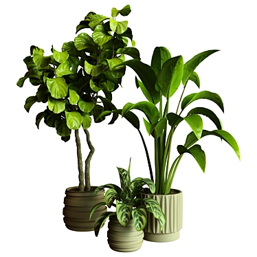 Modern Indoor Plant Collection (86) 3D model image 1 