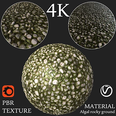 Seamless Algal Rock Texture Kit 3D model image 1 