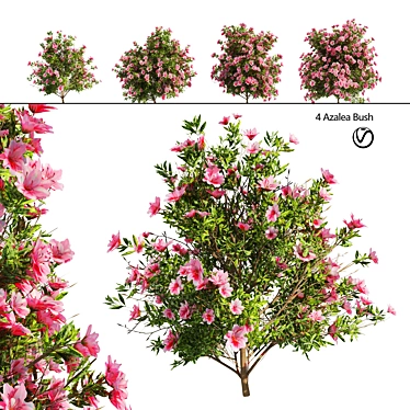 Spring Azalea Flower Bush 3D Model 3D model image 1 