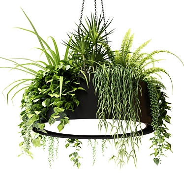 Round Hanging Planter Light with Plants 3D model image 1 