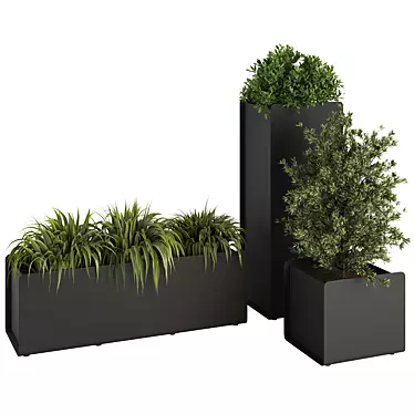 Contemporary Indoor Plant Set 2015 3D model image 1 