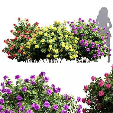  Detailed Climbing Roses Bush 3D model image 1 