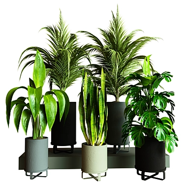 Modern Indoor Plant Collection Set 3D model image 1 