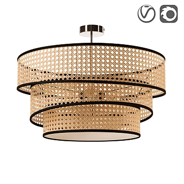 Elegant Chrome and Wood Ceiling Light 3D model image 1 