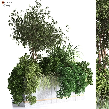 Lush Interior Plant Box Set 3D model image 1 