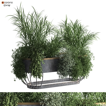 "Boxed Interior Plant Set 321 3D model image 1 