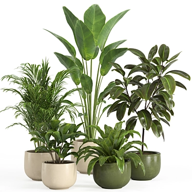 Shelf Plant Set | Modern Decor 3D model image 1 