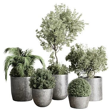 Concrete Vase Tree Bush Pot 3D model image 1 