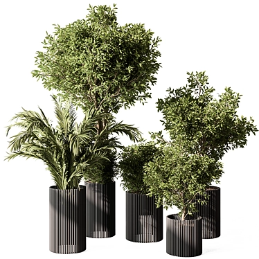 Indoor Greenery Duo in Pots 3D model image 1 