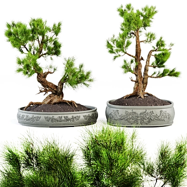 Bonsai Vases Set 2014 Vol.02 3D model image 1 