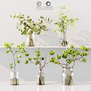 Premium Indoor Plants 3D Model 3D model image 1 