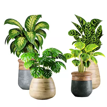 Modern Indoor Plants Collection 18 3D model image 1 