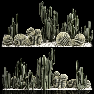 Desert Plant Collection: Cactus Garden 3D model image 1 