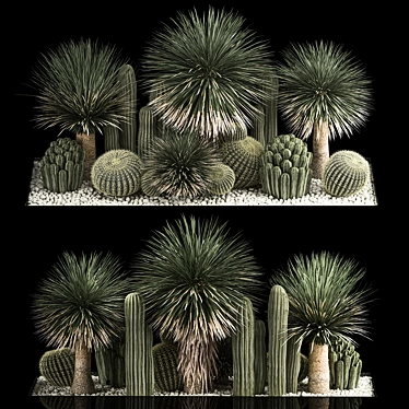 Desert Plant Set for Landscaping with Yucca, Dracaena, Cactus 3D model image 1 