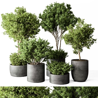 Foliage Duo Set - Potted Verdure 3D model image 1 