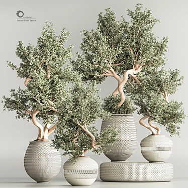 Modern Indoor Plant Set 64 3D model image 1 