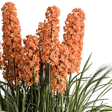 Hyacinth Flower Bush Set 3D model image 1 