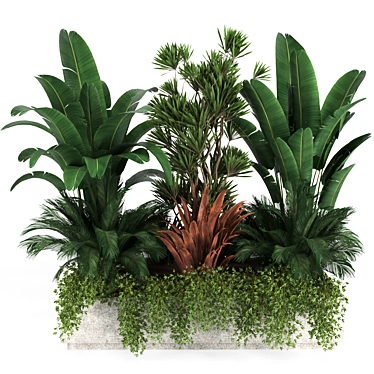 Climber Plant Flower Box Set 3D model image 1 