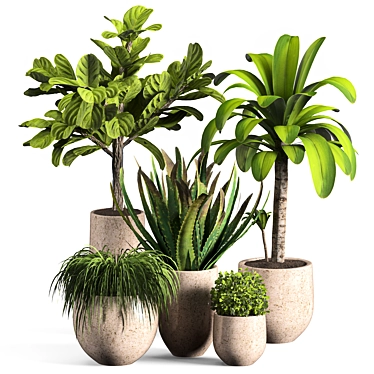 Contemporary Indoor Plant Set 04 3D model image 1 