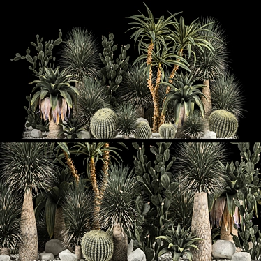 Desert Cactus Collection on Gravel 3D model image 1 