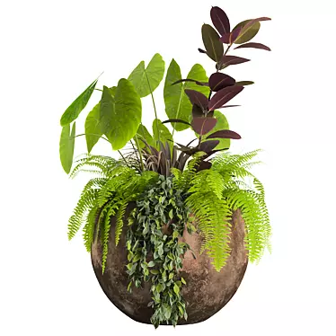  2013 Outdoor Plants Set display 3D model image 1 