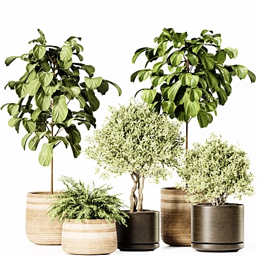 High-Quality Indoor Plants Set 3D model image 1 