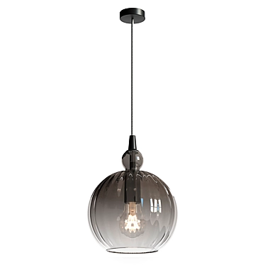 Smoked Glass Pendant Light Fixture 3D model image 1 