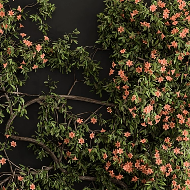 Translation: Наружный Набор Растений 426- Плющ на Стене
Ivy Wall Plant Set 3D model image 1 