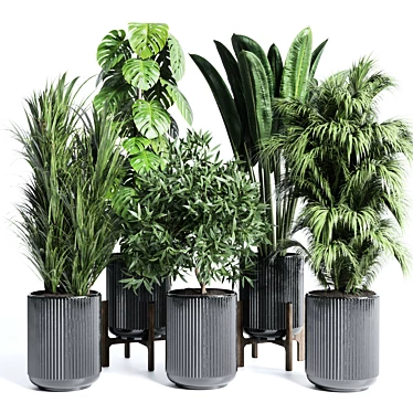 Modern Indoor Plant Collection Set 3D model image 1 