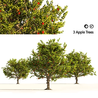 3D Apple Tree Models Set 3D model image 1 