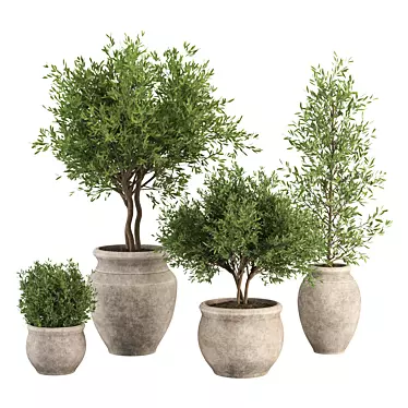 Greenery Trio Set: 3D Model 3D model image 1 