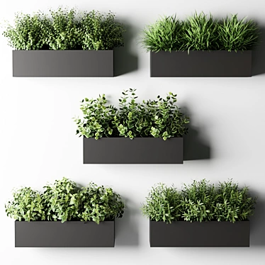 Kitchen Window Box Plants 3D model image 1 