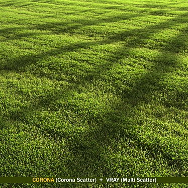 Landscaping Grass Patterns Bundle 3D model image 1 