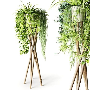 Hanging Plant Stand with Plants 3D model image 1 