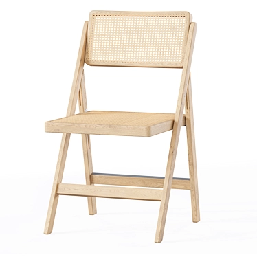 Foldable Rattan Chair 3D model image 1 