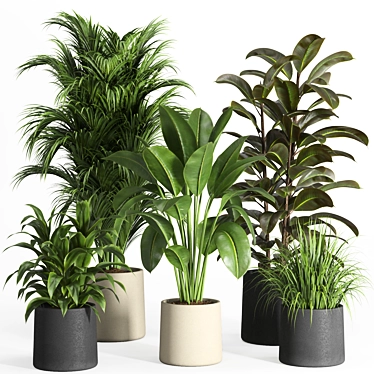 Modern Urban Indoor Plant Set 3D model image 1 