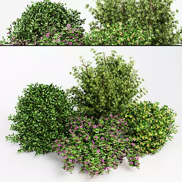 BUSH Collection 31 File Set 3D model image 1 