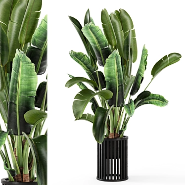 Metal Pot Indoor Plants Set 3D model image 1 