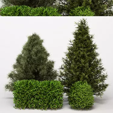 Modern Bush Collection 3D Model 3D model image 1 