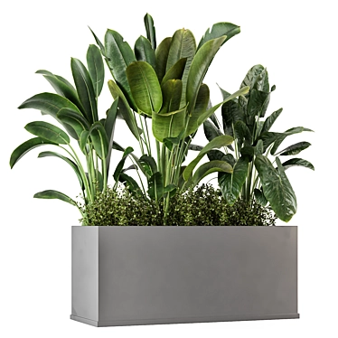 Concrete Potted Outdoor Plants Set 3D model image 1 