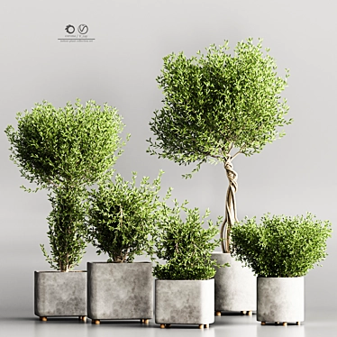 Modern Indoor Plant Collection Set 3D model image 1 