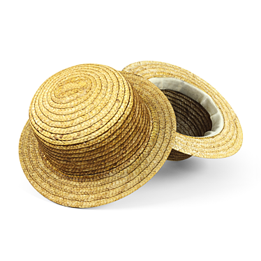 Straw Hat 3D model image 1 