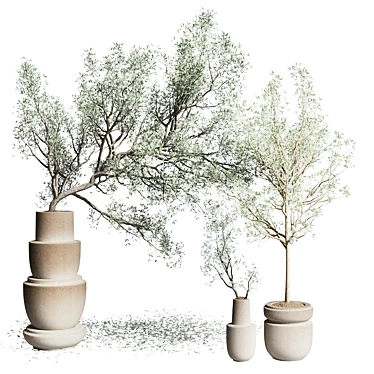 Vintage Olive Tree in Earthenware Vase 3D model image 1 