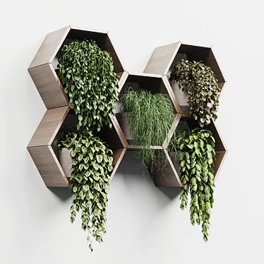 Hexagon Wall Plant Set 3D model image 1 