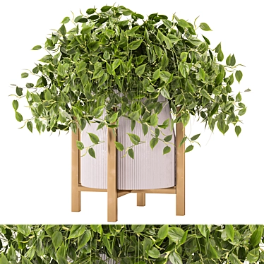 Modern Indoor Plant Collection Set 3D model image 1 