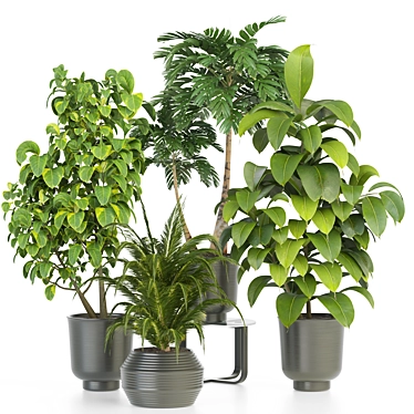 Ultimate Indoor Plant Collection 3D model image 1 