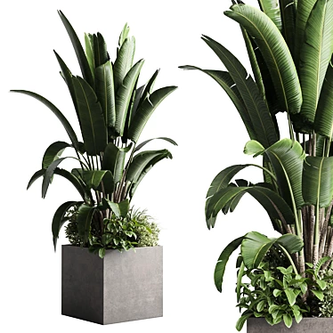 Concrete box plants on stand - set plant 271 concrete dirt vase