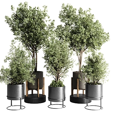 269 Plant Tree Vase Concrete 3D model image 1 