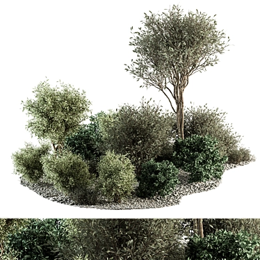 Outdoor Garden Plants Selection 3D model image 1 